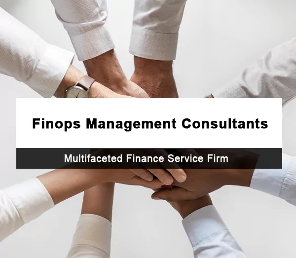Finops Management Consultants